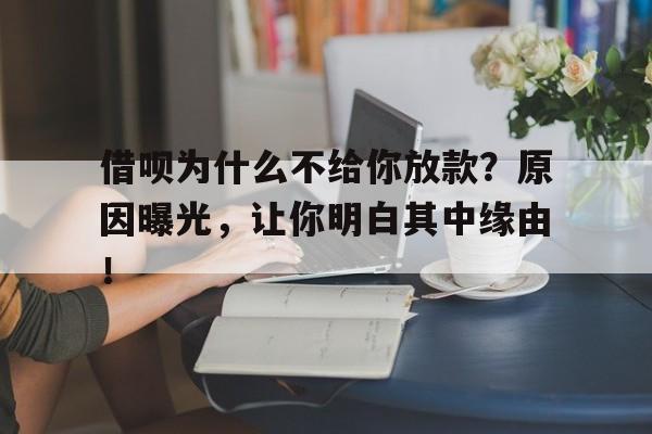 借呗为什么不给你放款？原因曝光，让你明白其中缘由！