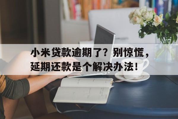 小米贷款逾期了？别惊慌，延期还款是个解决办法！