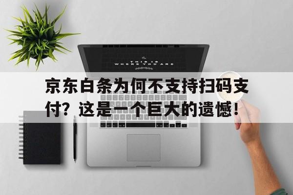 京东白条为何不支持扫码支付？这是一个巨大的遗憾！