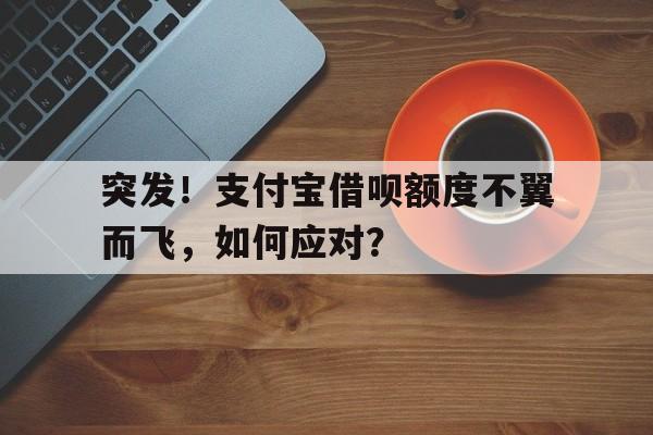 突发！支付宝借呗额度不翼而飞，如何应对？