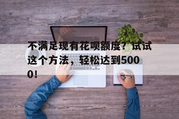 不满足现有花呗额度？试试这个方法，轻松达到5000！