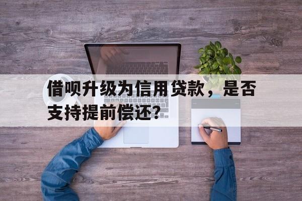 借呗升级为信用贷款，是否支持提前偿还？