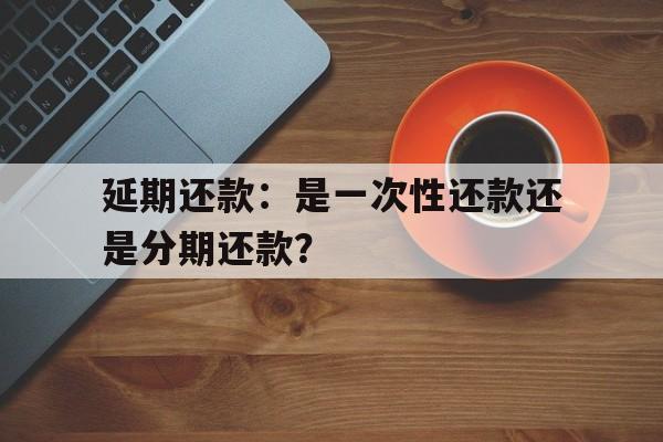 延期还款：是一次性还款还是分期还款？