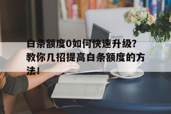 白条额度0如何快速升级？教你几招提高白条额度的方法！