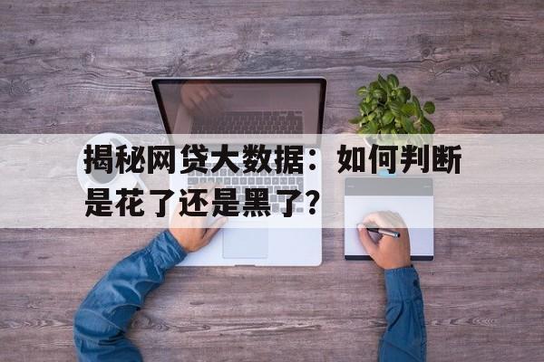 揭秘网贷大数据：如何判断是花了还是黑了？