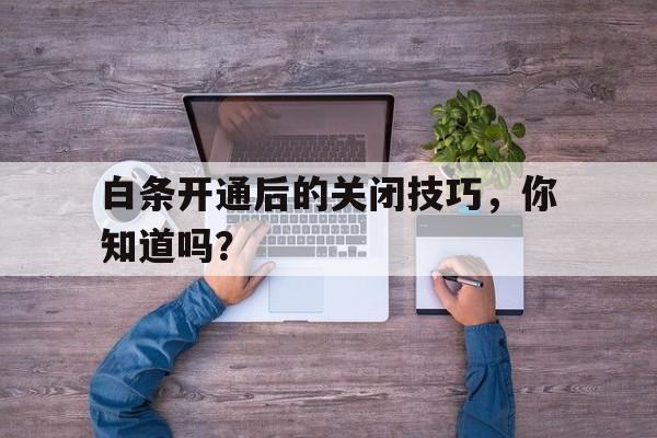 白条开通后的关闭技巧，你知道吗？