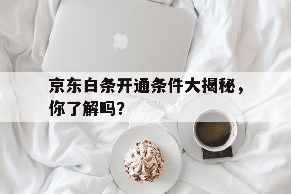 京东白条开通条件大揭秘，你了解吗？