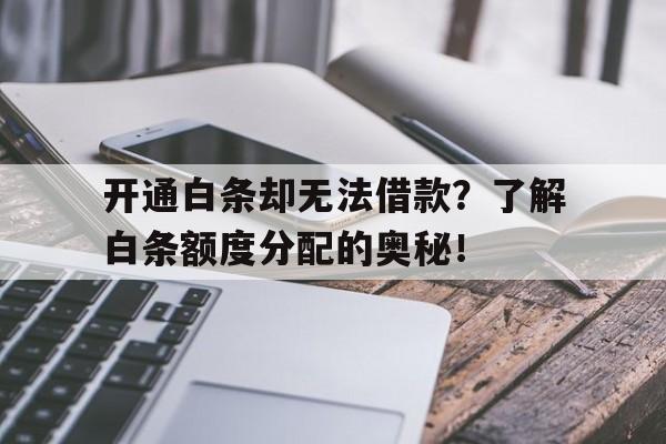 开通白条却无法借款？了解白条额度分配的奥秘！