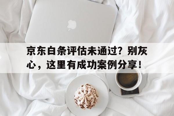 京东白条评估未通过？别灰心，这里有成功案例分享！