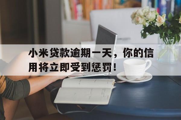 小米贷款逾期一天，你的信用将立即受到惩罚！