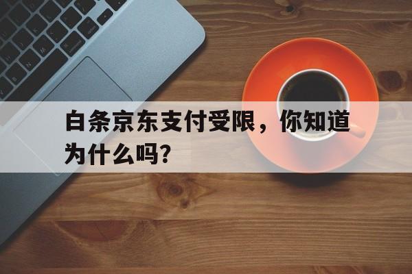 白条京东支付受限，你知道为什么吗？