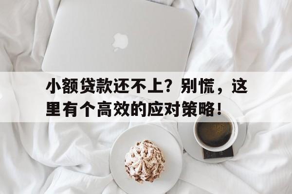 小额贷款还不上？别慌，这里有个高效的应对策略！