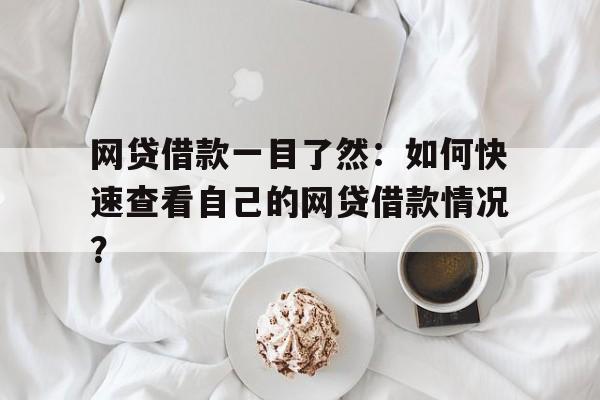 网贷借款一目了然：如何快速查看自己的网贷借款情况？