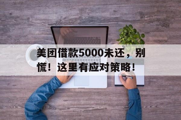 美团借款5000未还，别慌！这里有应对策略！