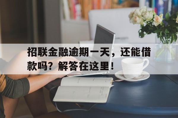 招联金融逾期一天，还能借款吗？解答在这里！