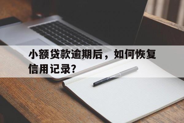 小额贷款逾期后，如何恢复信用记录？