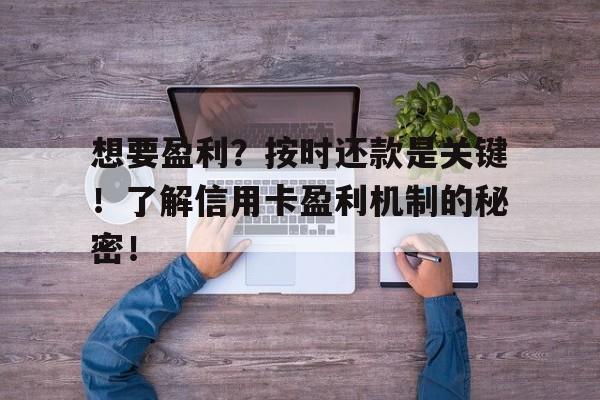 想要盈利？按时还款是关键！了解信用卡盈利机制的秘密！