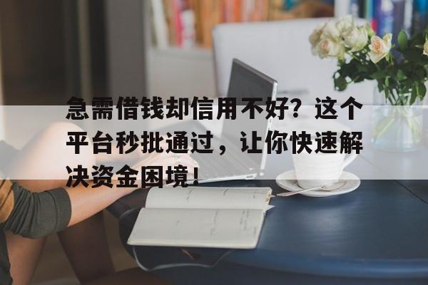 急需借钱却信用不好？这个平台秒批通过，让你快速解决资金困境！