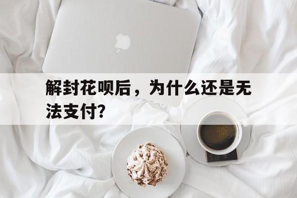 解封花呗后，为什么还是无法支付？