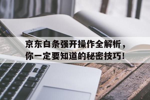 京东白条强开操作全解析，你一定要知道的秘密技巧！