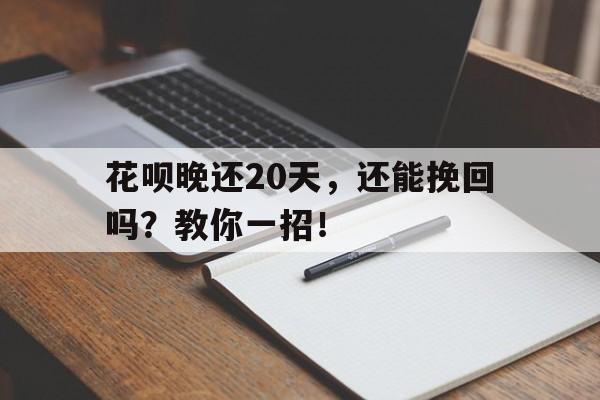 花呗晚还20天，还能挽回吗？教你一招！