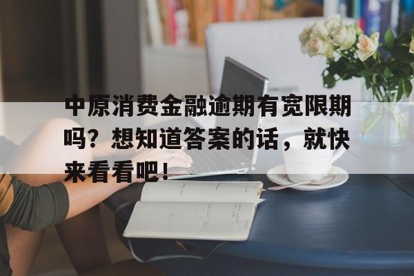 中原消费金融逾期有宽限期吗？想知道答案的话，就快来看看吧！