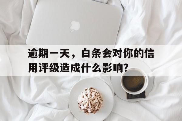 逾期一天，白条会对你的信用评级造成什么影响？