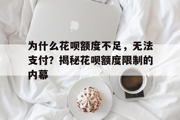 为什么花呗额度不足，无法支付？揭秘花呗额度限制的内幕