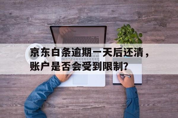 京东白条逾期一天后还清，账户是否会受到限制？