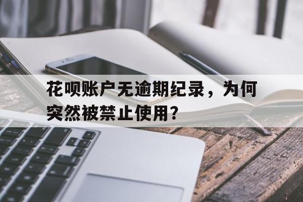 花呗账户无逾期纪录，为何突然被禁止使用？