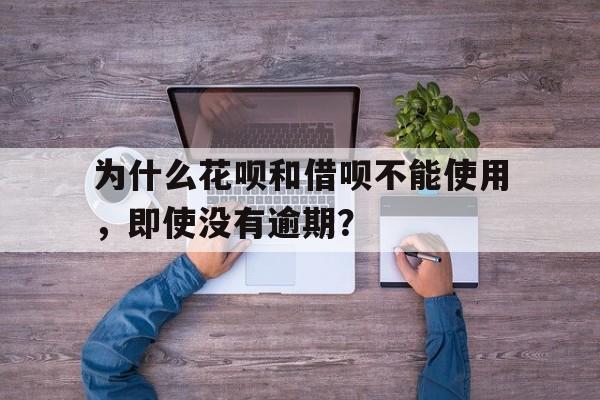 为什么花呗和借呗不能使用，即使没有逾期？