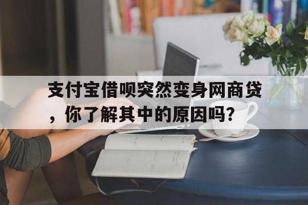 支付宝借呗突然变身网商贷，你了解其中的原因吗？