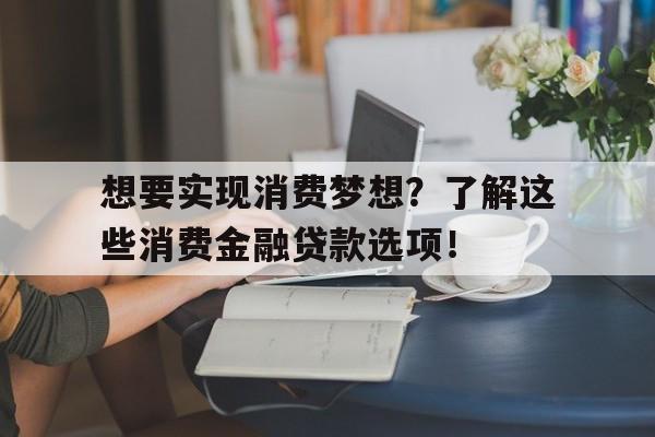 想要实现消费梦想？了解这些消费金融贷款选项！