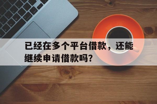 已经在多个平台借款，还能继续申请借款吗？