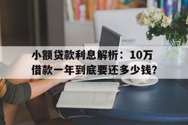 小额贷款利息解析：10万借款一年到底要还多少钱？