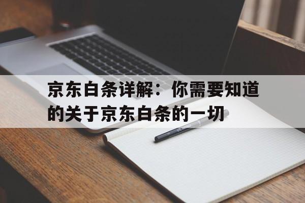 京东白条详解：你需要知道的关于京东白条的一切