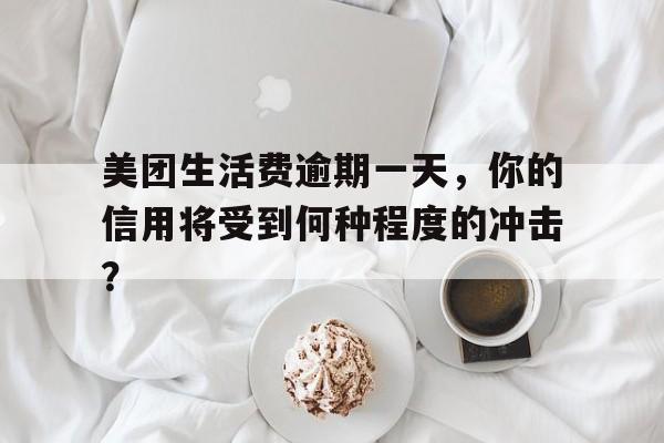 美团生活费逾期一天，你的信用将受到何种程度的冲击？