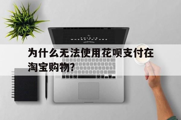 为什么无法使用花呗支付在淘宝购物？