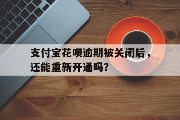 支付宝花呗逾期被关闭后，还能重新开通吗？