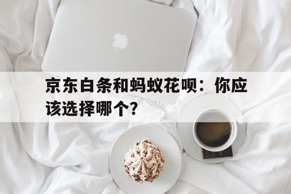 京东白条和蚂蚁花呗：你应该选择哪个？