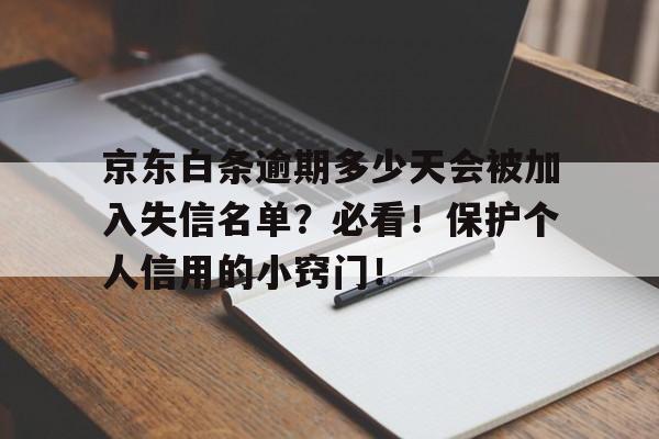 京东白条逾期多少天会被加入失信名单？必看！保护个人信用的小窍门！