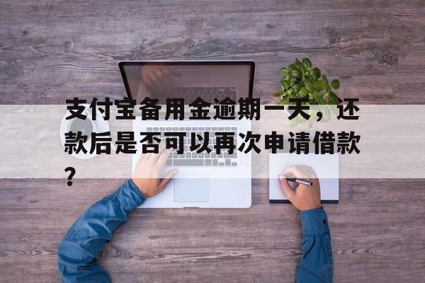 支付宝备用金逾期一天，还款后是否可以再次申请借款？