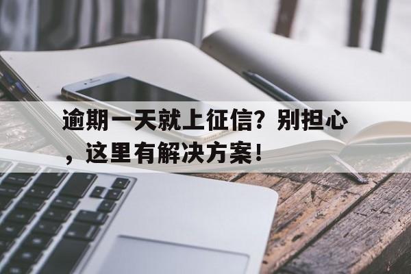 逾期一天就上征信？别担心，这里有解决方案！