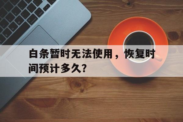 白条暂时无法使用，恢复时间预计多久？