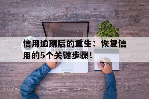 信用逾期后的重生：恢复信用的5个关键步骤！