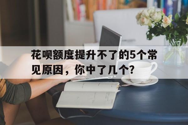 花呗额度提升不了的5个常见原因，你中了几个？