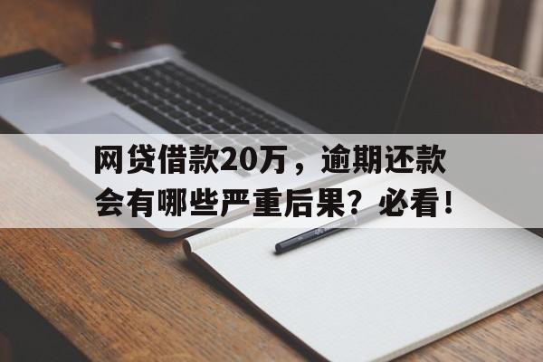 网贷借款20万，逾期还款会有哪些严重后果？必看！