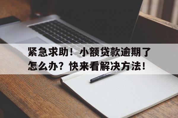 紧急求助！小额贷款逾期了怎么办？快来看解决方法！