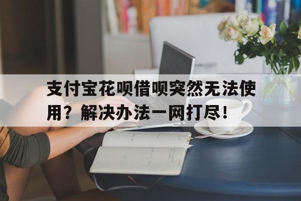 支付宝花呗借呗突然无法使用？解决办法一网打尽！