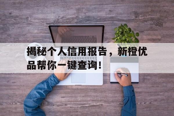 揭秘个人信用报告，新橙优品帮你一键查询！